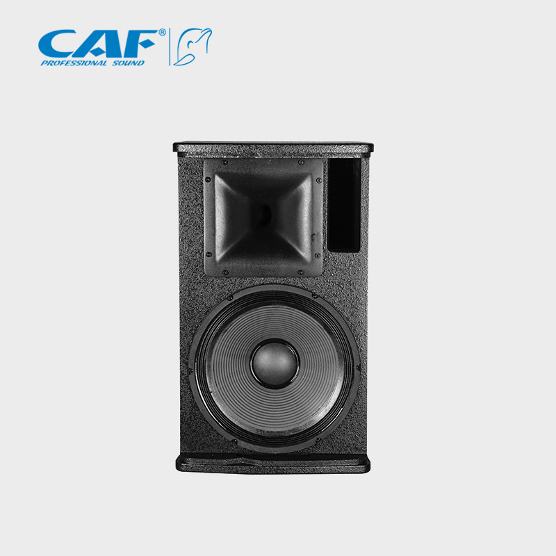 CAF卡福会议音箱专业KTV音响8寸10寸12寸15寸舞台演出音箱